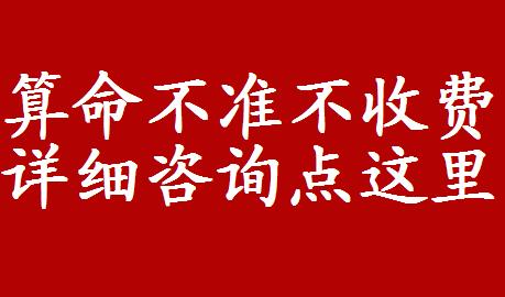 b型血女人的性格特点 B型血女生性格解析